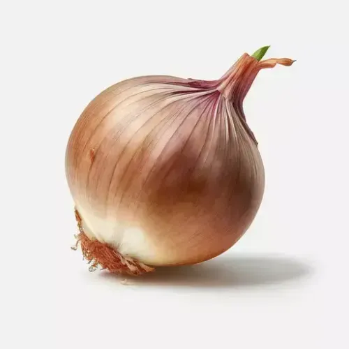 échalote
